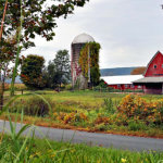 Farm North East Street